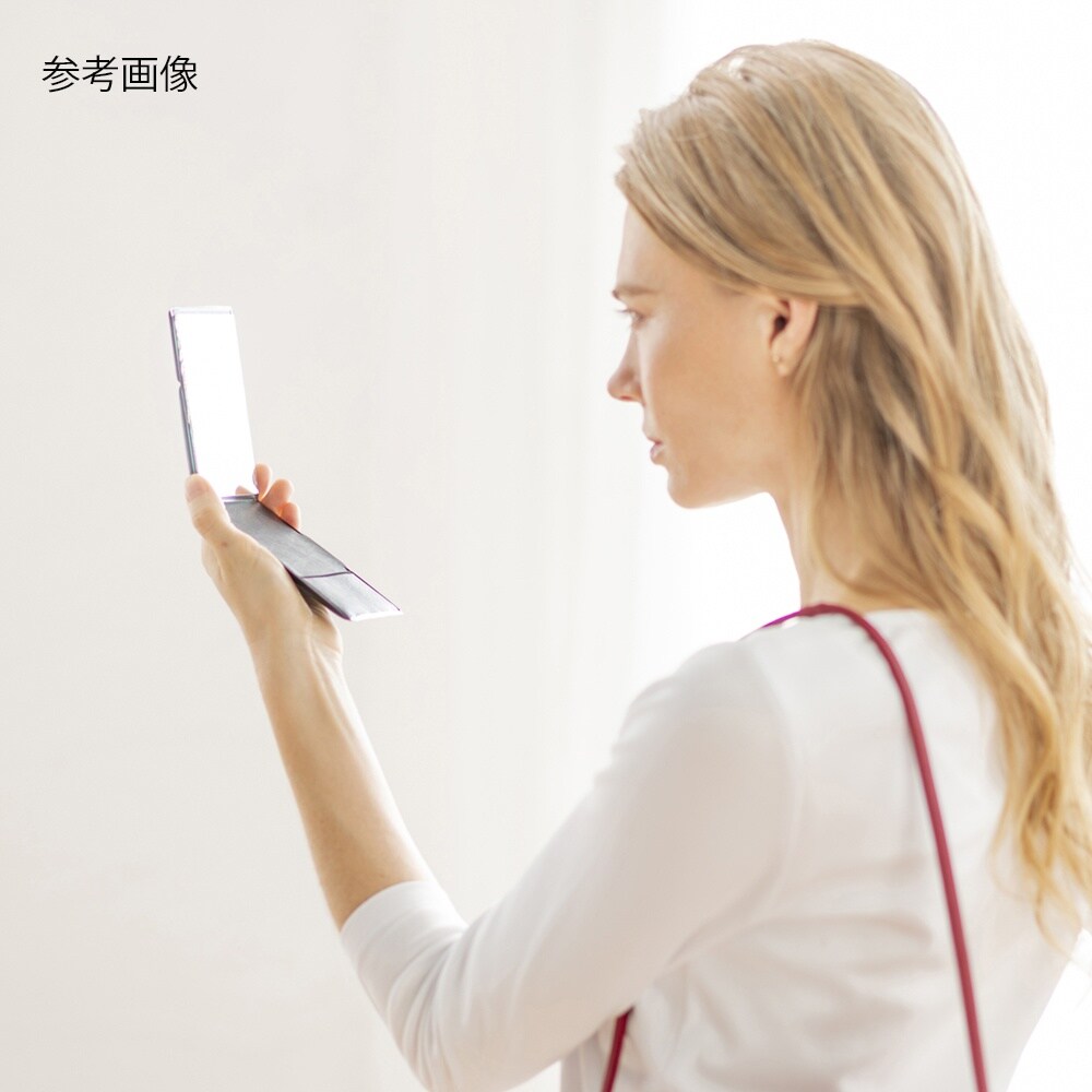HP−22 プロモデル折立ミラー