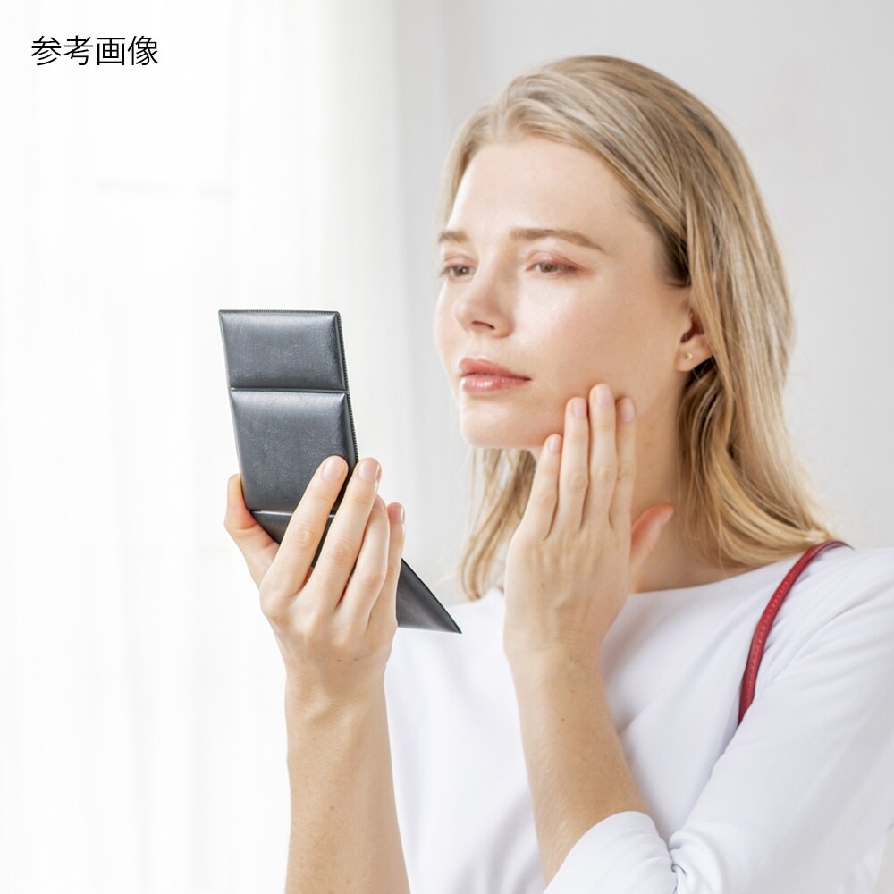 HP−22 プロモデル折立ミラー