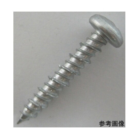 2F536 コンクリートビス鍋頭 20個