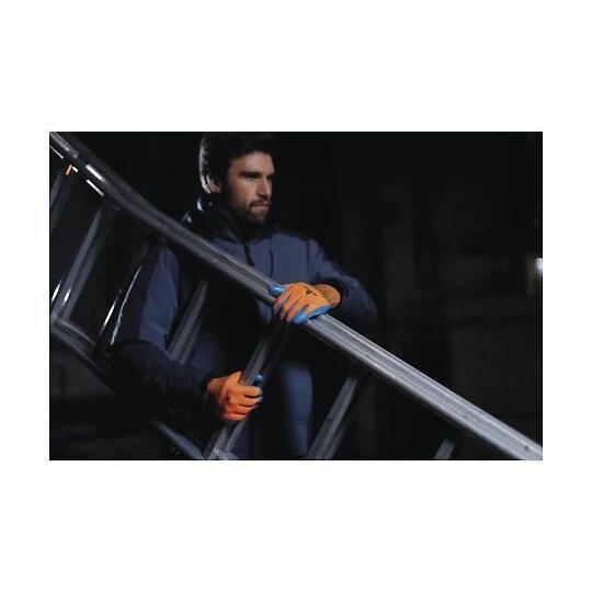 D0050−L ラテックス手袋