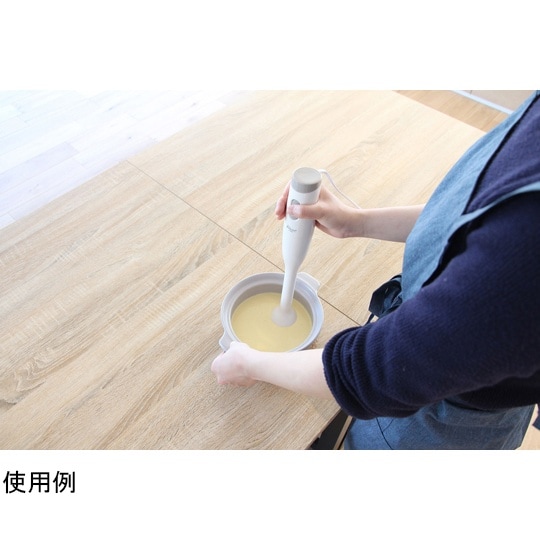 HM805WT ブラン・ハンドブレンダー