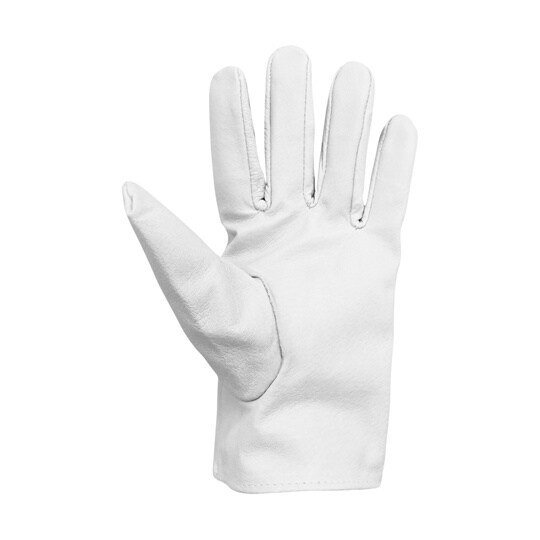 AG560−LL 豚クレスト LLサイズ