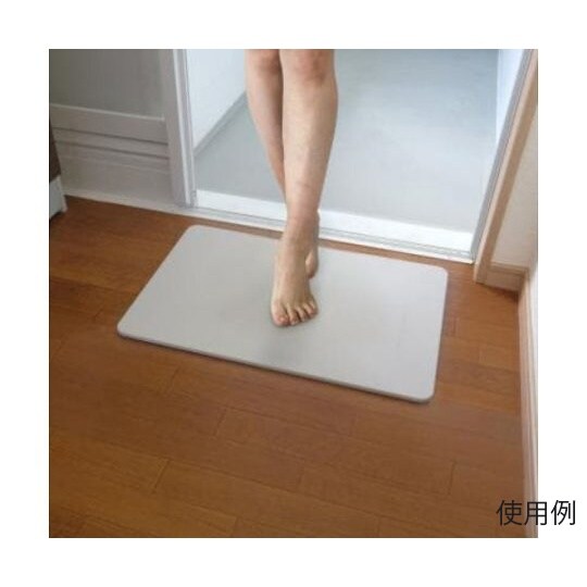 390x600mm バスマット(珪藻土)