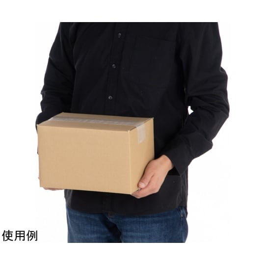 段ボール 60サイズ 30枚入 0115