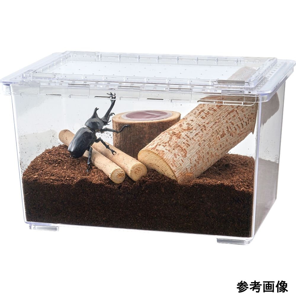 昆虫の木3種 ベーシックセット T−13