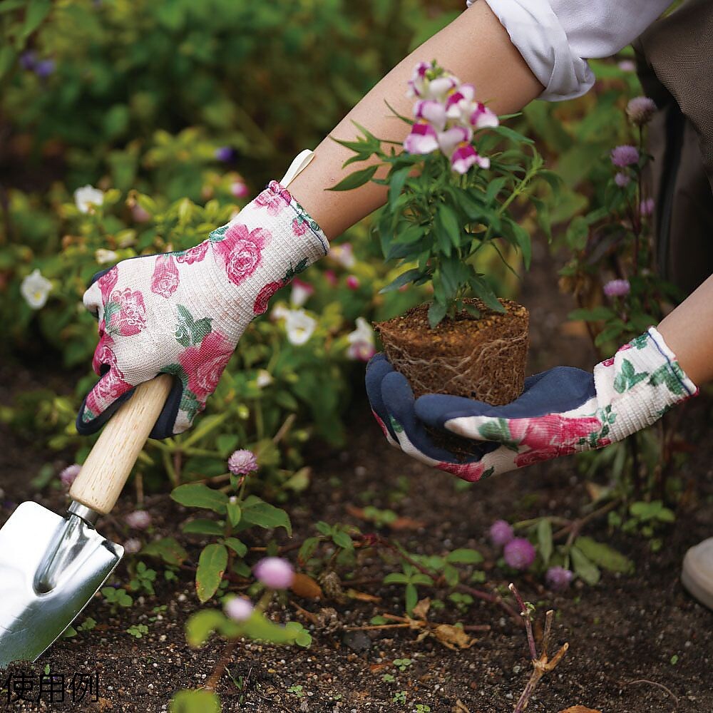 WithGarden ルミナス(ローズ)