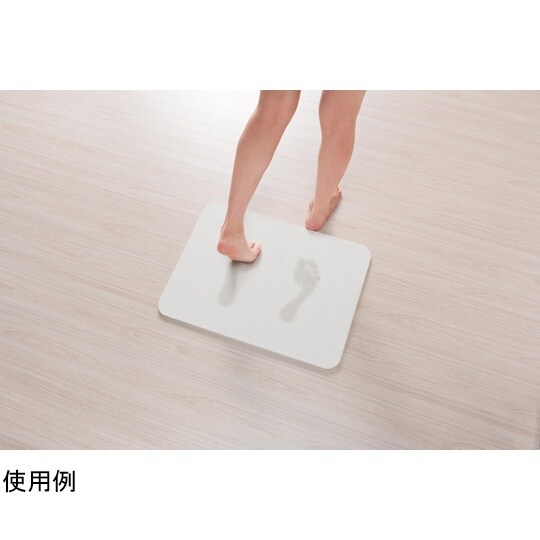 バスマット 珪藻土 Mサイズ 瞬乾力バス