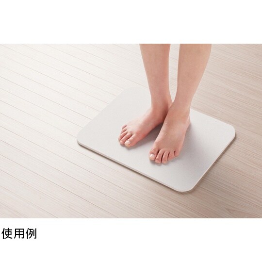 バスマット 珪藻土 Mサイズ 瞬乾力バス
