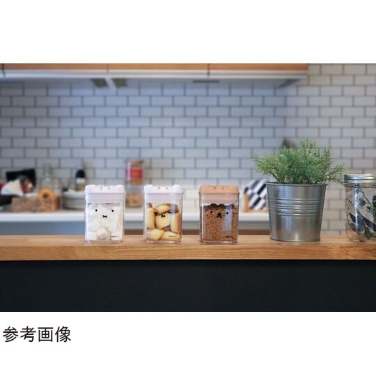 保存容器 250mL miffy キャニ