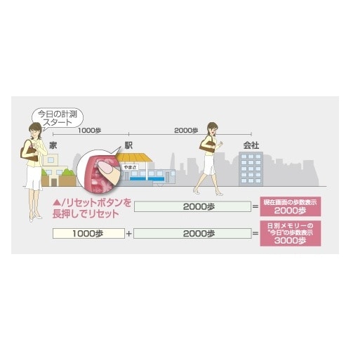 ポケット万歩 B(パールブラック) EX