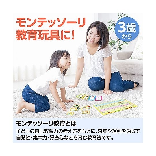 言語教育5点セット 21649