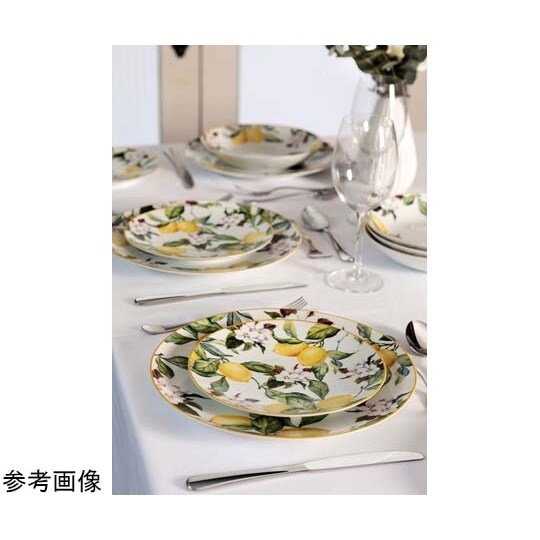 カルメン ディーププレート 22cm 9