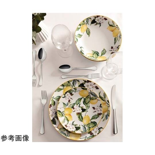 カルメン ディーププレート 22cm 9