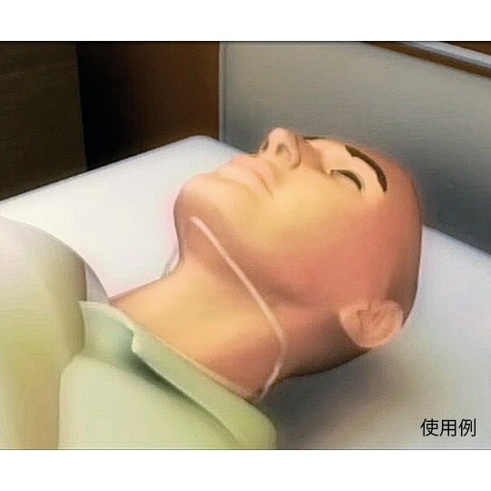 チンカラーサンプルセット