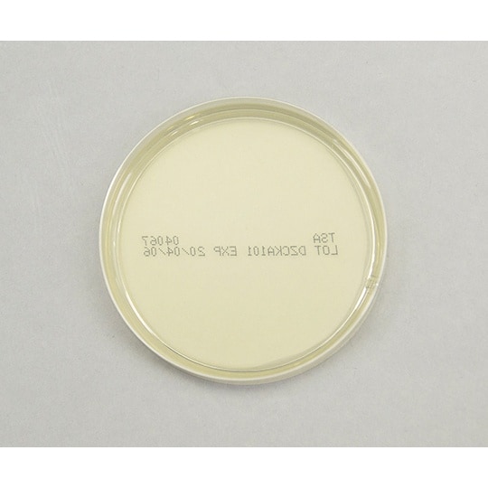 【冷蔵】生培地 SCD寒天 20枚入