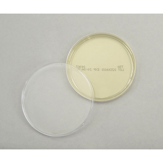 【冷蔵】生培地 SCD寒天 20枚入