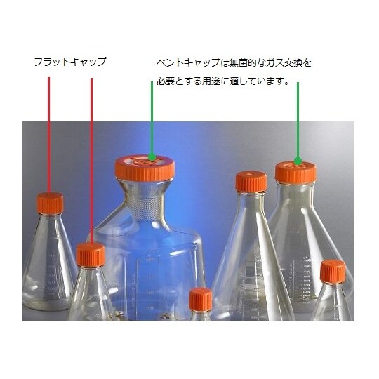 431406 三角フラスコ