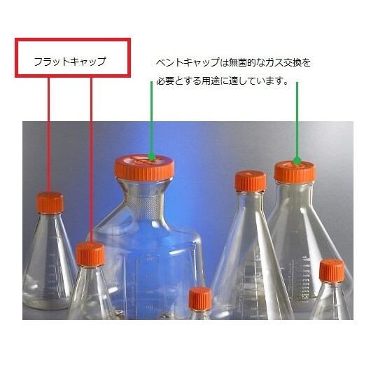 431255 三角フラスコ