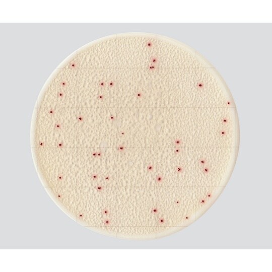 【冷蔵】EasyPlate AC