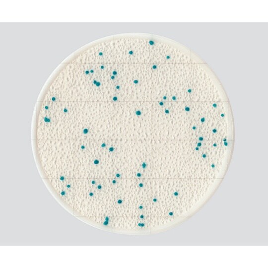 【冷蔵】EasyPlate CC