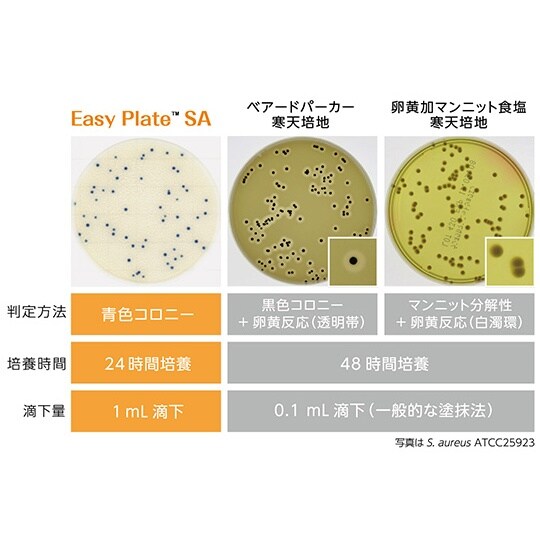 【冷蔵】EasyPlate 黄色ブドウ球菌数測定