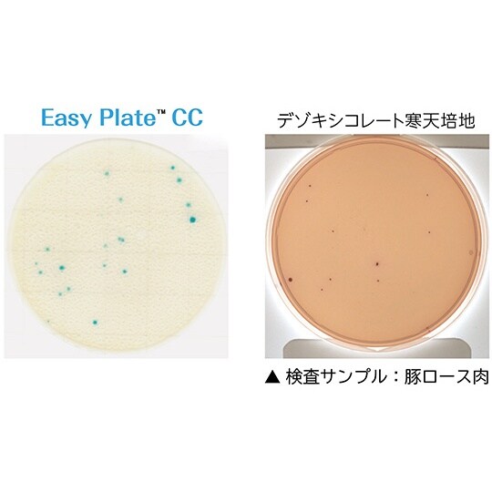 【冷蔵】EasyPlate CC大箱