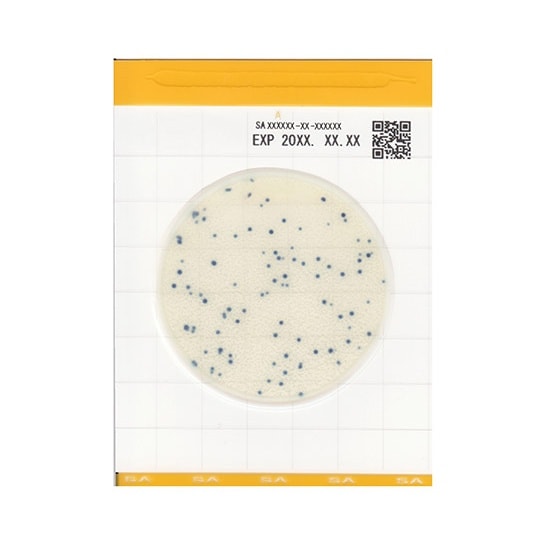 【冷蔵】EasyPlate 黄色ブドウ球菌数測定