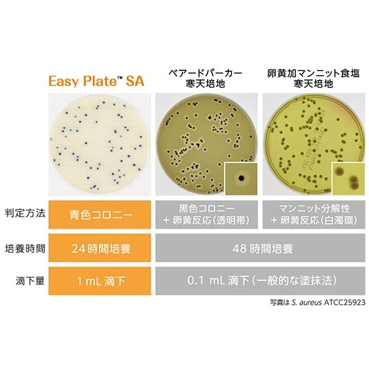 【冷蔵】EasyPlate 黄色ブドウ球菌数測定