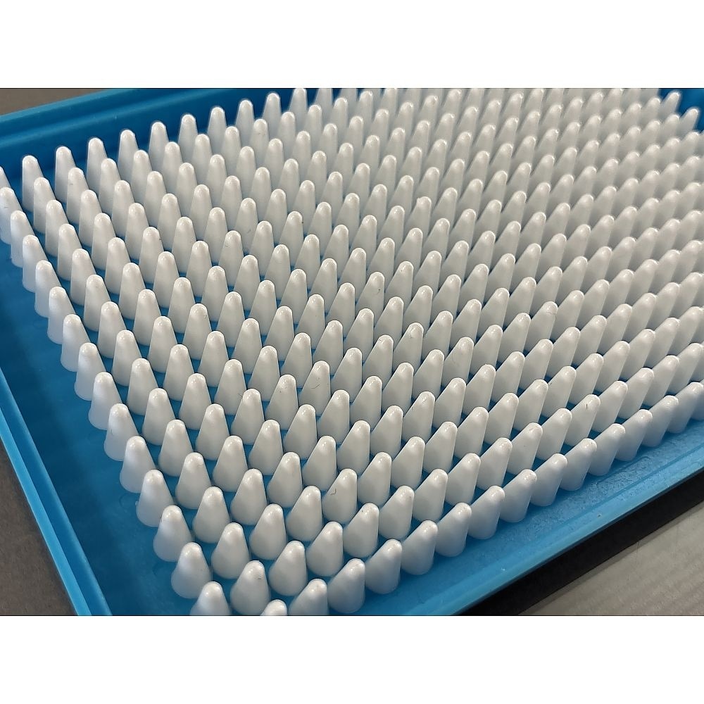 ハードシェルPCRプレート フルスカート