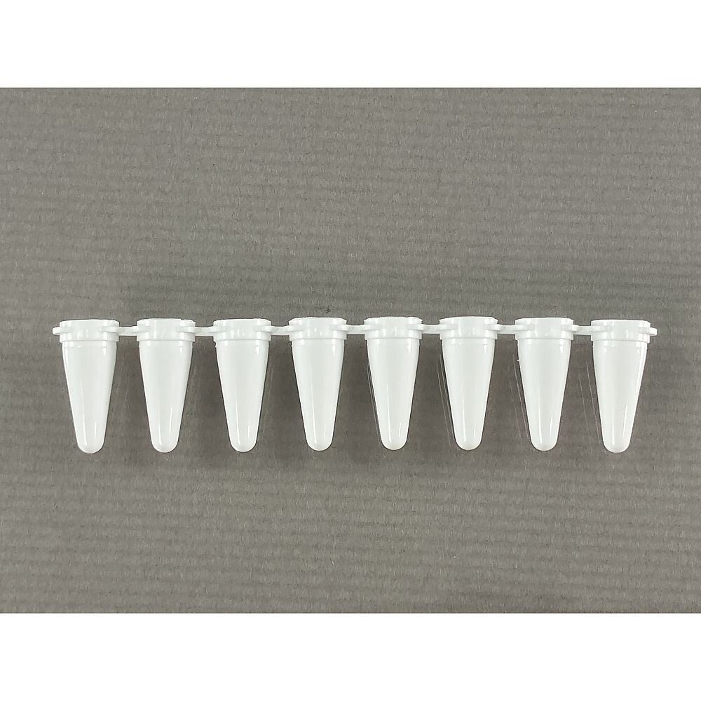 リアルタイムPCR用8連チューブ(キャッ