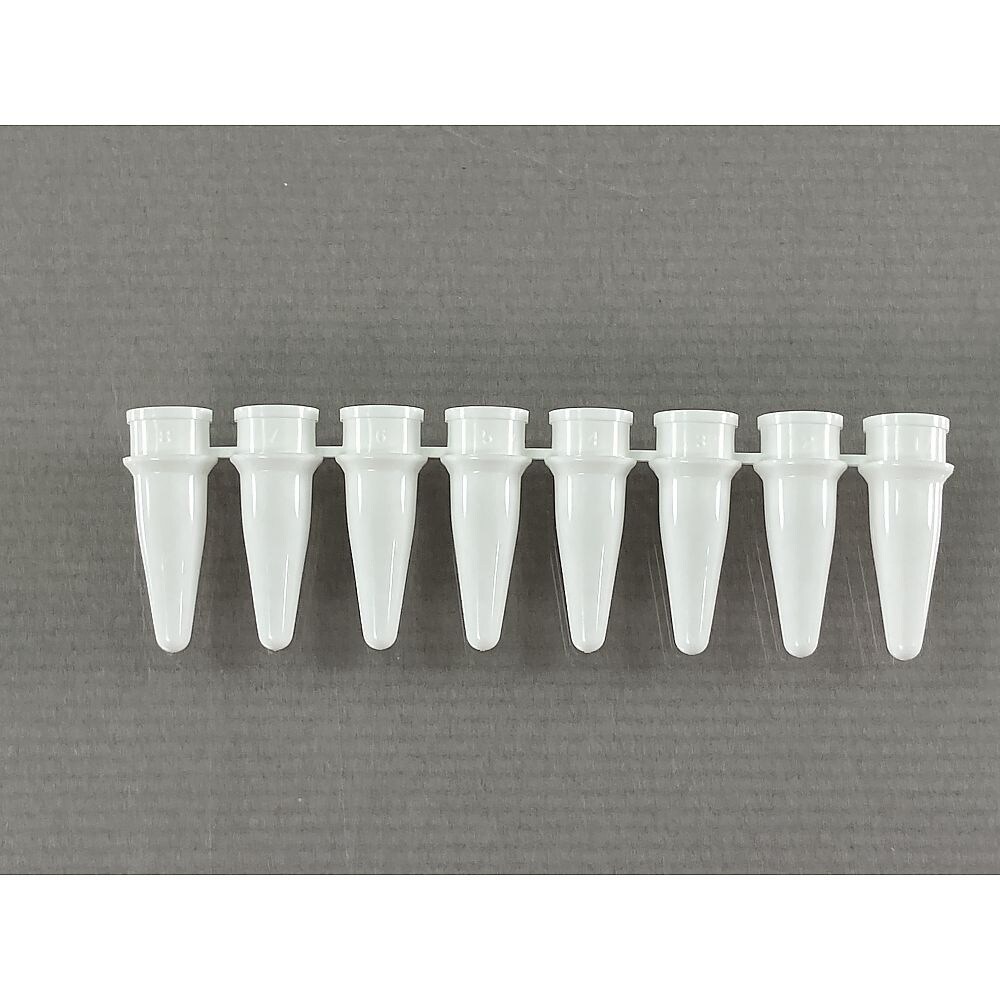 リアルタイムPCR用8連チューブ(キャッ