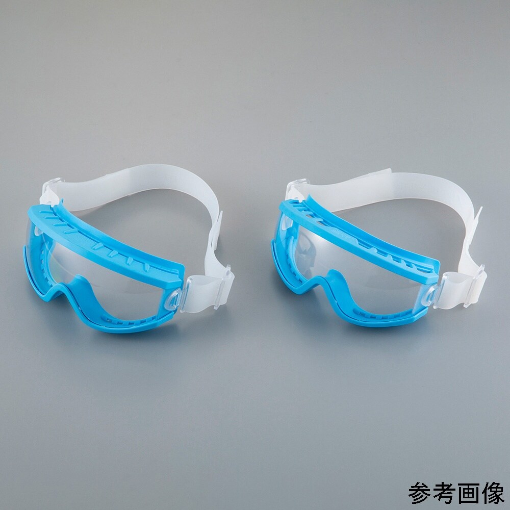 クリーンルームゴーグル 619.04.2