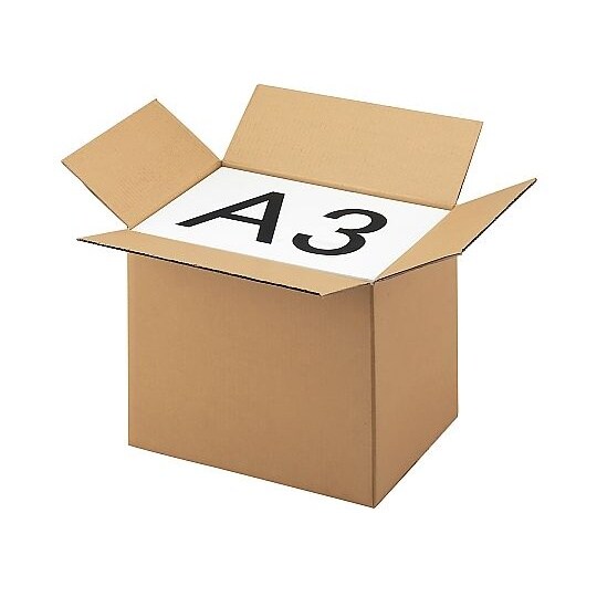 ダンボールケース 43.4×31.4×3