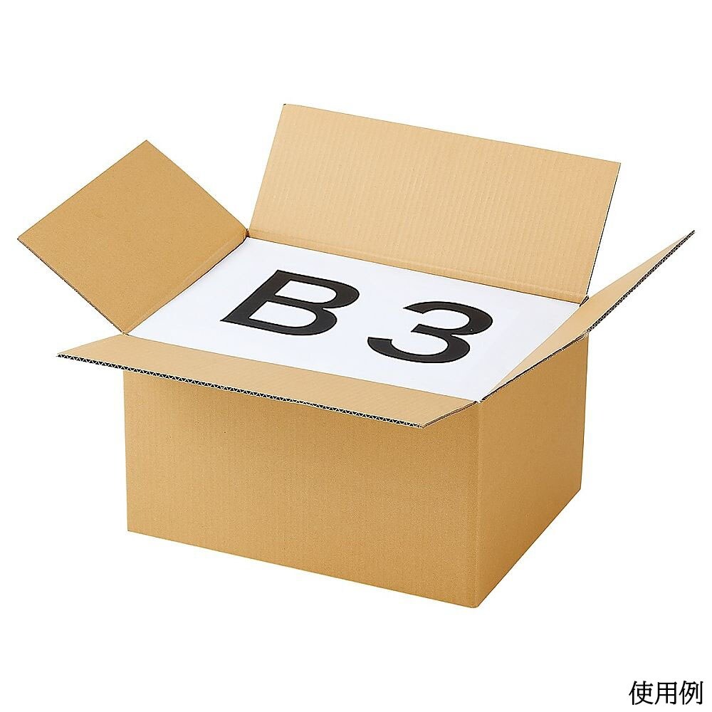 ダンボールケース 52.4×38.4×3