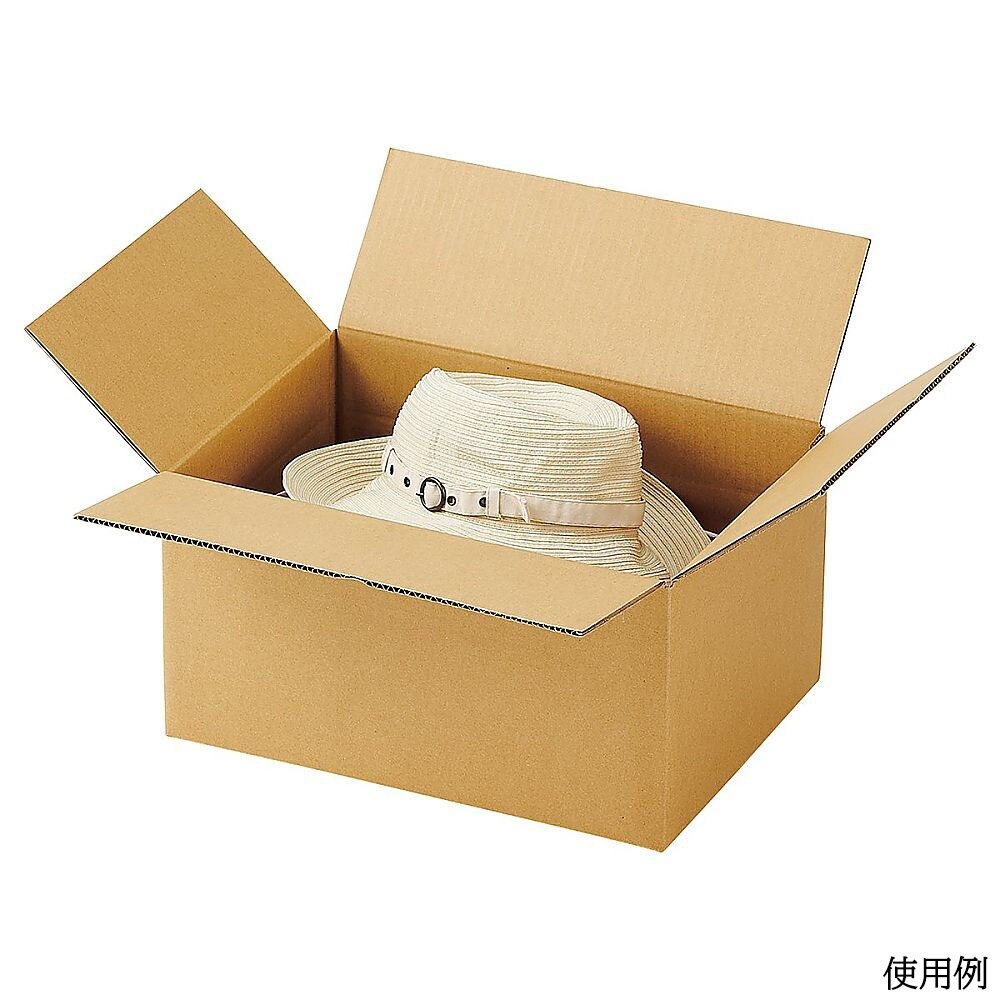 ダンボールケース 42.4×30.4×2