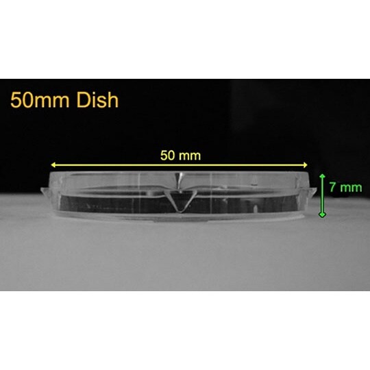 ガラスボトムディッシュ 1箱(100個入