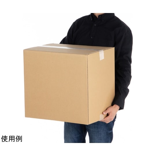 段ボール 120サイズ 20枚入 011