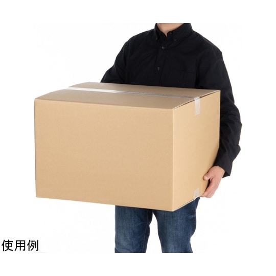 段ボール 140サイズ 20枚入 011