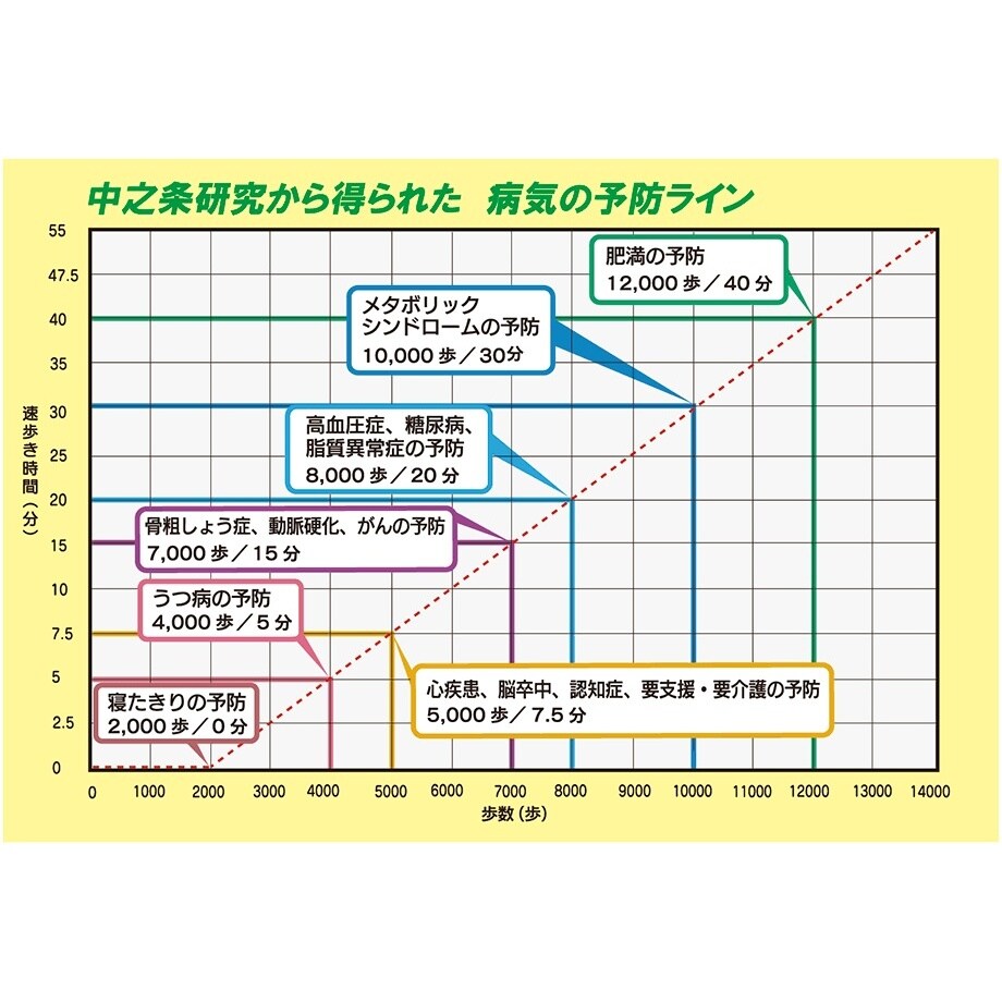 アクティブ万歩 W(ホワイト) TH−3