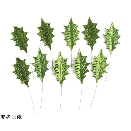 ひいらぎ Lサイズ 約4x7.8cm 5