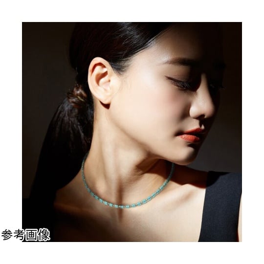 コアフォースループ マリン SUS50