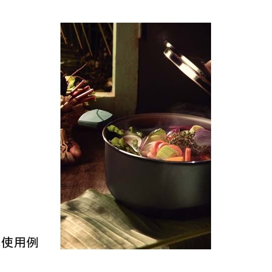 リーフ 両手鍋 20cm 28318/2