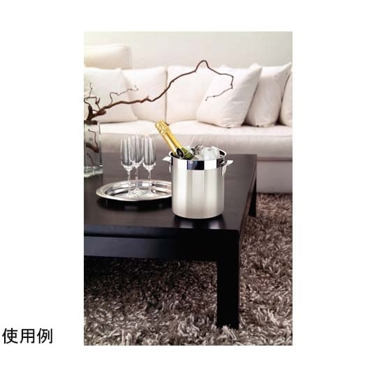 コスモス シャンパンクーラー ストレート