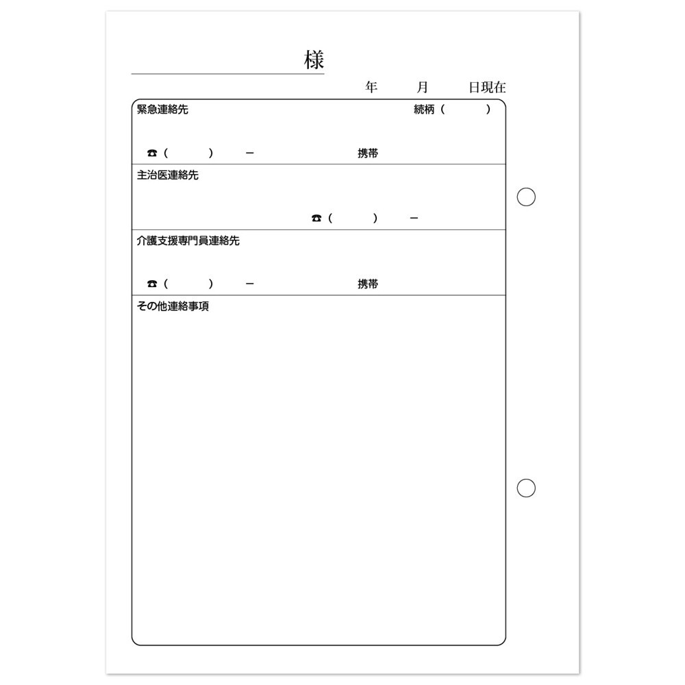看護・介護記録用紙 リズミィ1 デイ日誌