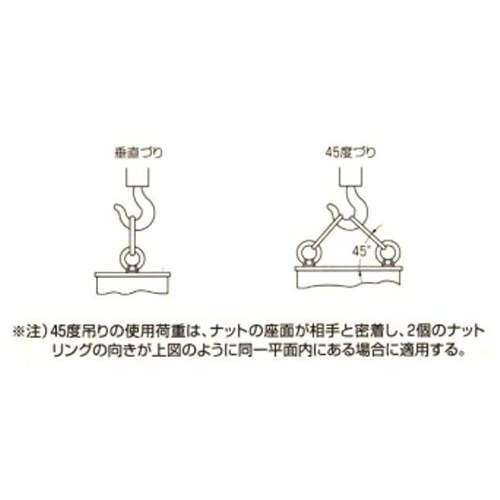 アイナット(鍛造) EA638SP−6