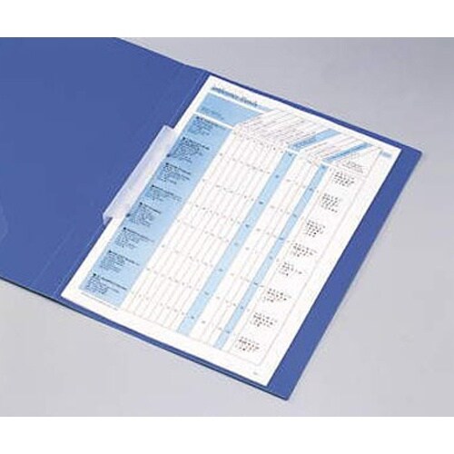 ホックルファイル(10冊) EA762CG−53