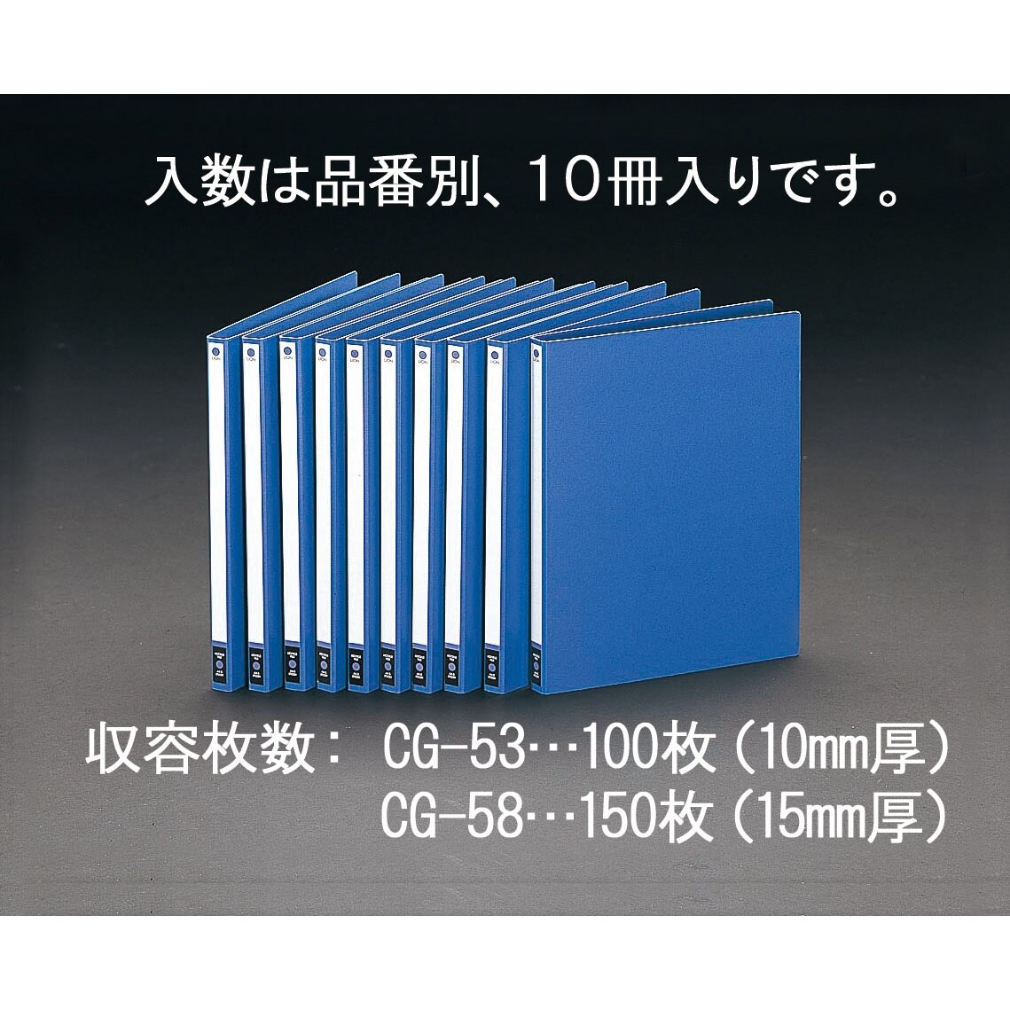 ホックルファイル(10冊) EA762CG−58