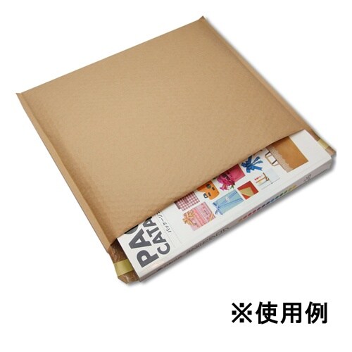 クッション封筒(未晒/10枚) EA762GF−8