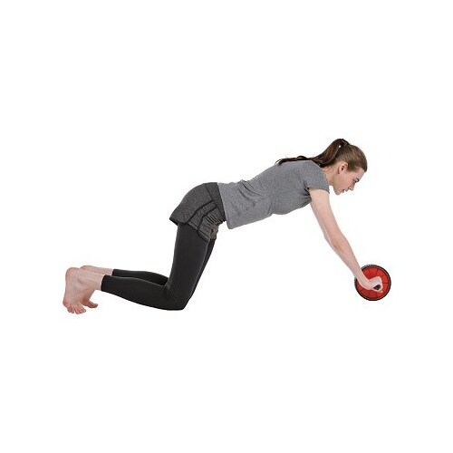 エクササイズホイール EA763DK−11