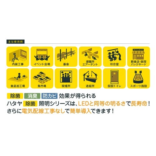 照明灯/電球型蛍光灯 EA815LB−41